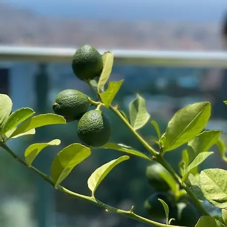 Vila Villa, Alanya, Antalya *
