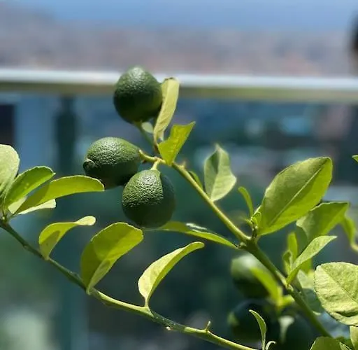 Villa Villa, Alanya, Antalya *